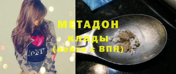 индика Алзамай