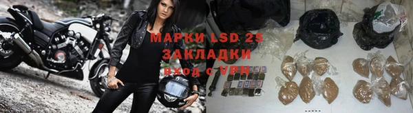 индика Алзамай