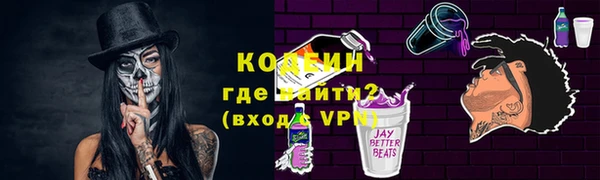 индика Алзамай
