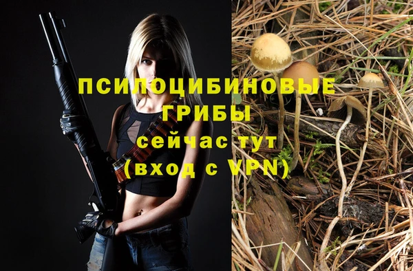 индика Алзамай