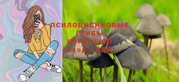 индика Алзамай