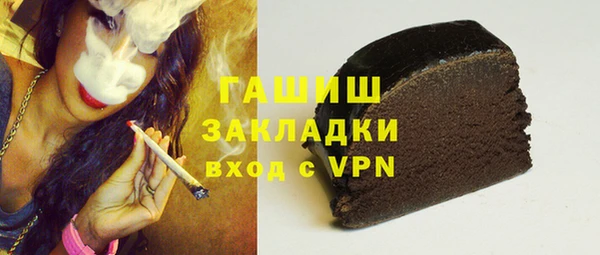 индика Алзамай