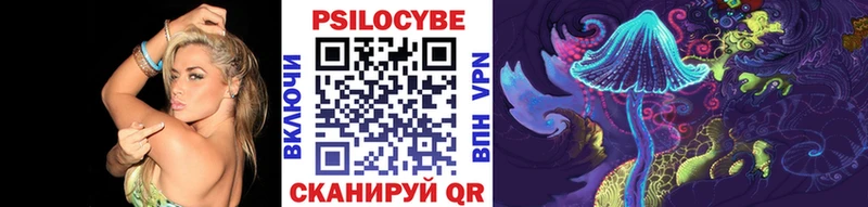 Галлюциногенные грибы Magic Shrooms  наркошоп  кракен вход  Злынка 
